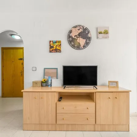 Sunflower Santa Pola